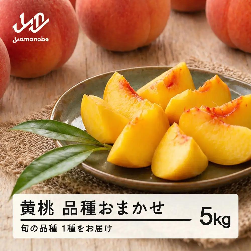 【先行予約】黄桃 もも 桃 品種おまかせ 約5kg 令和8年産 2026年産 果物 フルーツ ※沖縄・離島への配送不可 mm-kmomx5000