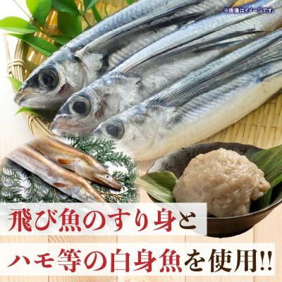 ふるさと納税 日南市 味付 すり身(2種類セット) 計2kg (500g×各2パック) |  | 02