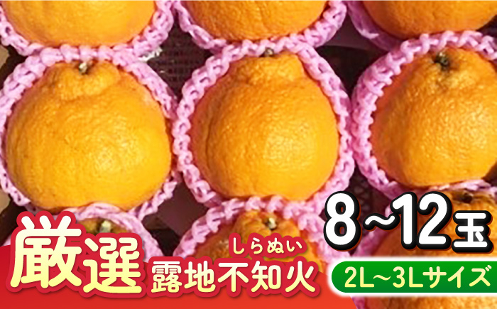 
            厳選 露地不知火 2L～3Lサイズ 8～12玉入り（約3kg）（通称：でこぽん） 長崎県/大将農園 [42AOAA030]
          