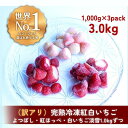 【ふるさと納税】【訳アリ/食べ比べ】完熟冷凍苺「紅ほっぺ＆淡雪＆よつぼし 1.0kg × 3種類」化粧箱入【果実まるごとアイス】 | 食品 加工食品 人気 おすすめ 送料無料