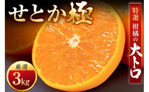 「夕やけブランド」柑橘の大トロ!＜せとか＞3kg＜E49-67＞_みかん ミカン 蜜柑 せとか 果物 くだもの フルーツ デザート 甘い おいしい かんきつ 柑橘 柑橘類 国産 愛媛 愛媛県 八幡浜市