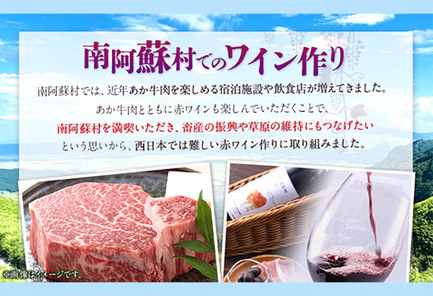 南阿蘇村産ぶどう100%使用 赤ワイン RED cow 飲み比べセット 750ml × 2本《30日以内に出荷予定(土日祝除く)》熊本---sms_winecow_30d_23_28000_2p---