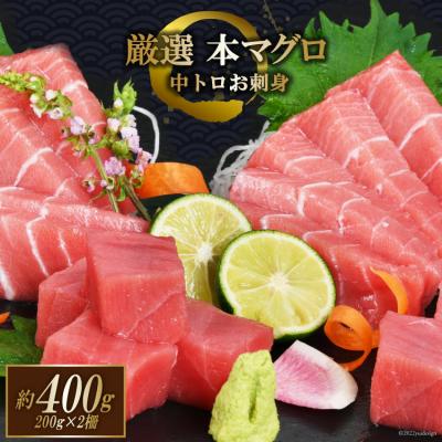 ふるさと納税 気仙沼市 2025 年内発送 まぐろ 本マグロ背トロ 約400g(200g×2柵) 20565850