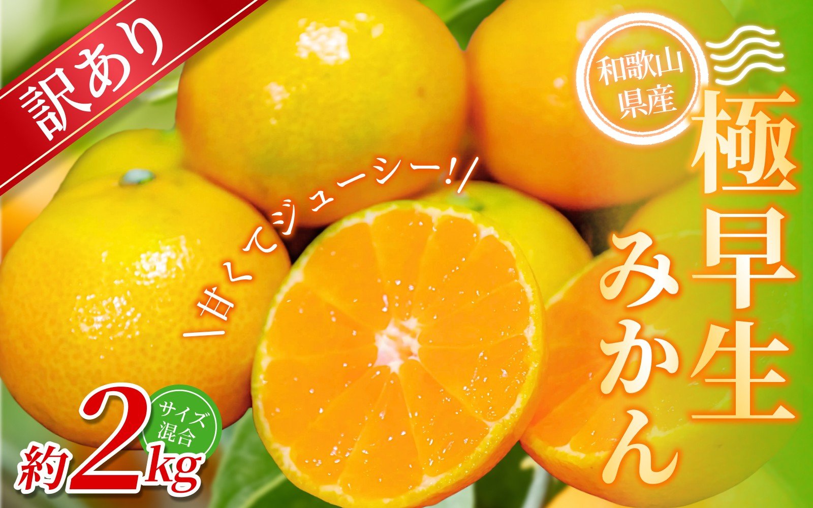 
            【訳あり】 森本農園の手選別 極早生みかん 約2kg 和歌山県産 2S~2Lサイズ混合 【北海道・沖縄・離島配送不可】【2025年10月上旬～下旬頃に順次発送】【RN3】
          