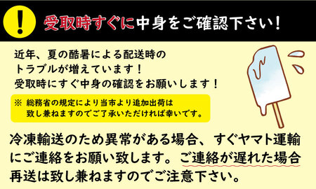 【定期便】 (12ヶ月連続お届け)竹下製菓人気アイス10本 Q120-001
