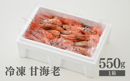 鮮度抜群！三国甘海老 550g 【甘海老 あまえび アマエビ えび 海老 有頭 刺身 生食 海鮮 海産物 魚貝類 魚介類 新鮮 冷凍 三国】 [A-18701]