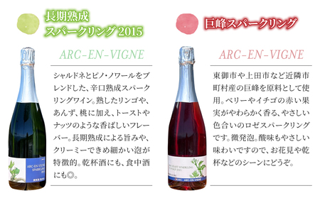 【アルカンヴィーニュ】長期熟成スパークリング&巨峰スパークリングワイン2本セット ワインワインワインワインワインワインワイン
