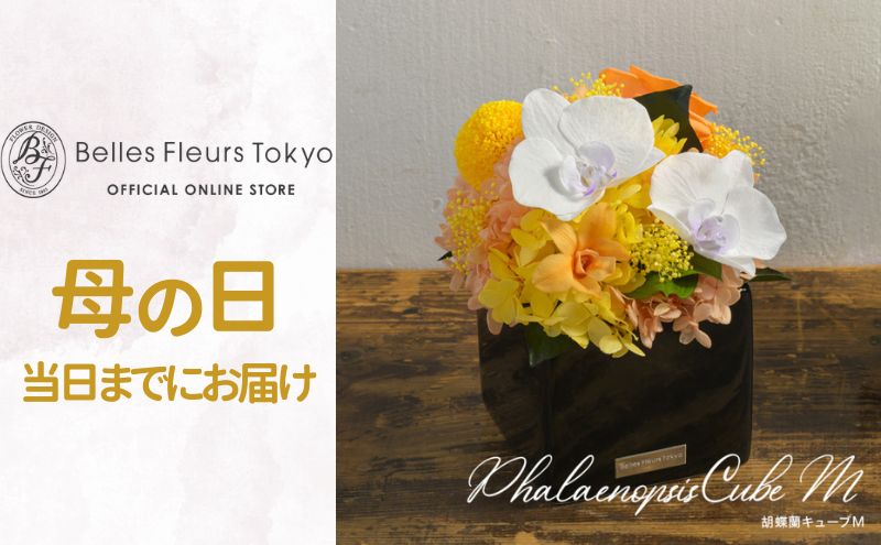 胡蝶蘭キューブM 花 お花 プリザーブドフラワー ギフト プレゼント お祝い 誕生日 お供え アレンジ インテリア 東京都 墨田区【グリーン】