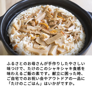 たけのこカレー1人前×2個 たけのこごはんの素3合×2個 合計4個セット【08101】