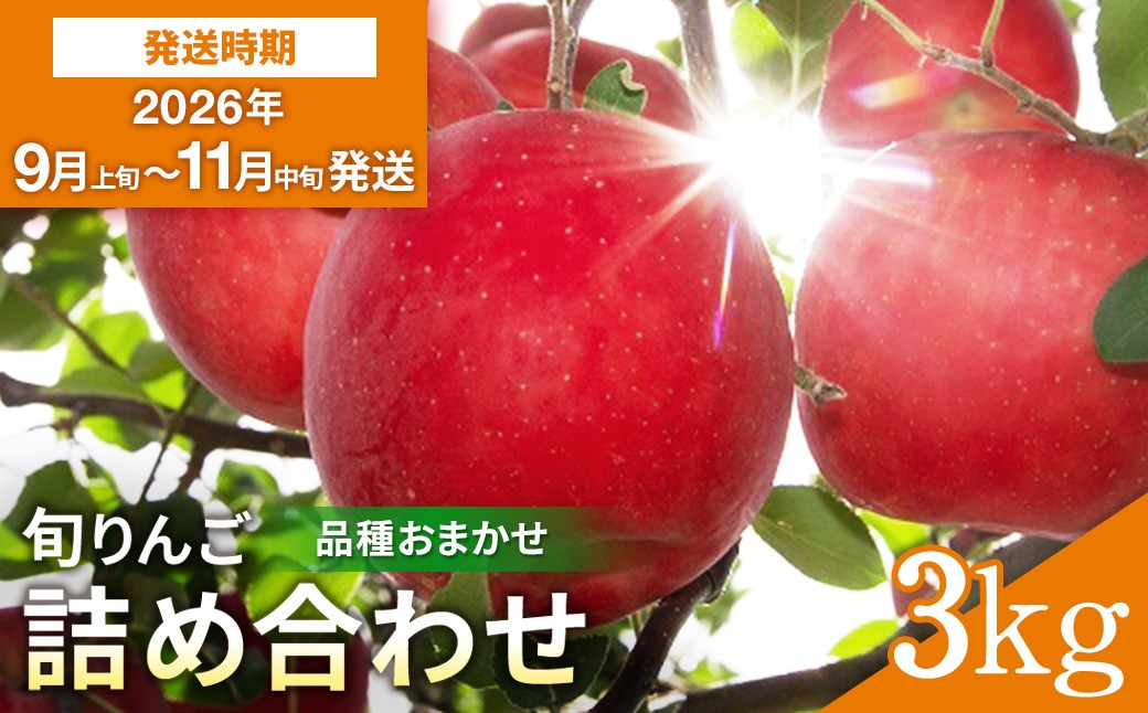 
                  厳選 旬 りんご 詰め合わせ 3kg 秀品 早生 品種お任せ さんさ こうりん シナノスイート シナノゴールド トキ アキタゴールド 秋田紅あかり の中から 濃厚 で ジューシー な 美味しい 林檎 をお届け【藤山果樹園】[M2801]
                
