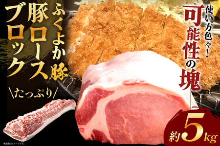 豚肉 ロースブロック約5kg ふくよか豚肉