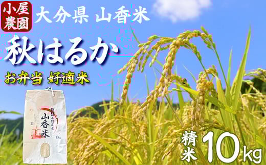
            【 新米 先行予約 】小屋農園の米 10kg （精米：秋はるか）＜159-022＞
          