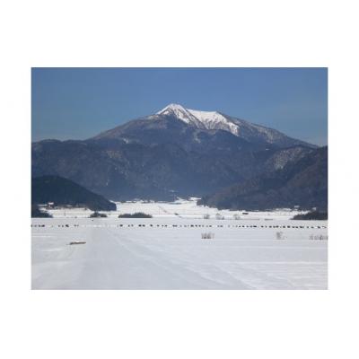 ふるさと納税 山口市 無洗米阿東のコシヒカリ5kg×2袋(白米) C119 |  | 03