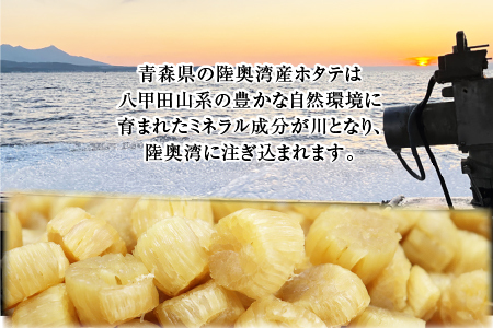 陸奥湾産ほたて干し貝柱(Sサイズ100g×2)