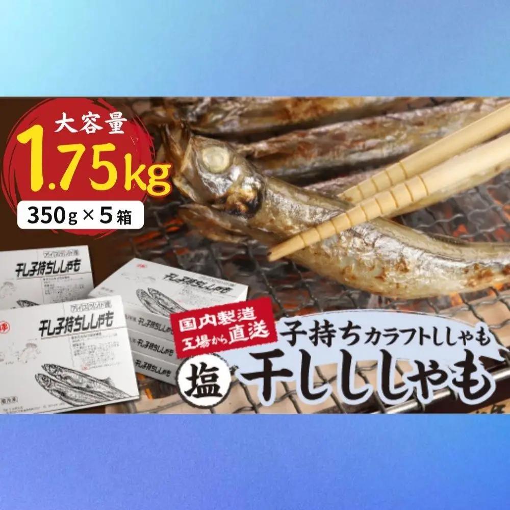 国内加工　塩ししゃも　5箱セット