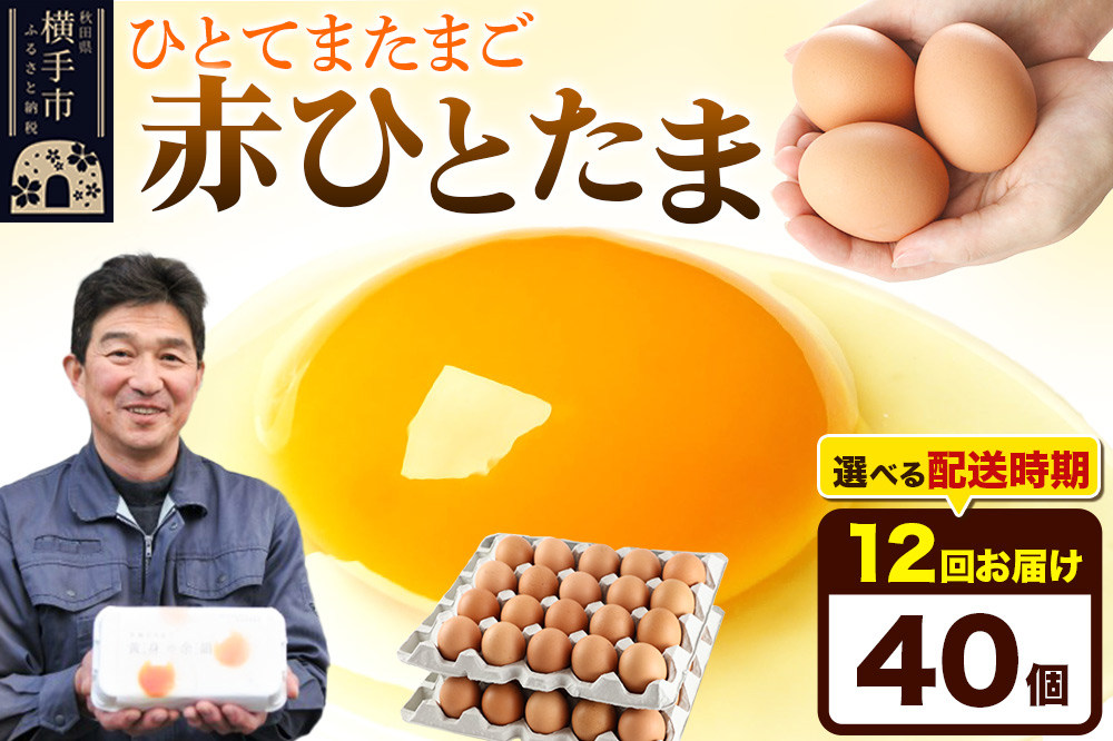 《定期便12ヶ月》赤ひとたま 40個（業務用）