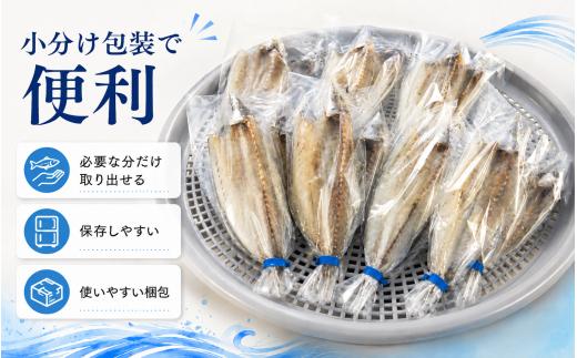 田渕水産のしらす干し、干物セット しらす干し 600g 青あじのひらき 2袋 カマスのひらき 2袋 ちりめんじゃこ 干物 天日干し うす塩 ふわふわ食感 おかず 晩酌 セット 高知県 安芸市 高知県 魚介類 海産物 しらすセット 干物詰め合わせ 国産 ご飯のお供 おつまみ 贈り物 ギフト 安芸のしらす 安芸の干物 安芸市 高知県