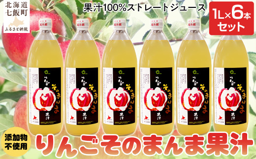 無添加 りんご果汁100% 1L×6本セット りんごジュース ストレート果汁 【 ふるさと納税 人気 おすすめ ランキング りんご リンゴ 林檎 そのまんま 無添加 ジュース りんごジュース 北海道 七飯町 送料無料 】 NAJ001