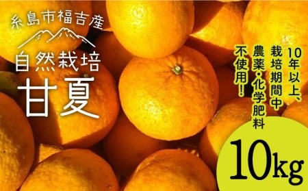 甘夏 10kg 【 農薬 ・ 化学肥料不使用 】糸島市 / 大石ファーム[ATE004]