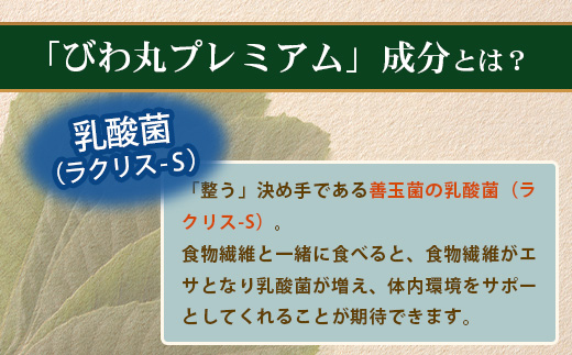 【定期便 全12回】≪12ヶ月連続で毎月お届け≫ びわ丸プレミアム ≪1回あたり(360粒入×1袋) ≫  健康補助食品 びわ茶含有加工食品  TO-15-NP| 国産 びわ茶 びわの葉 サプリメント