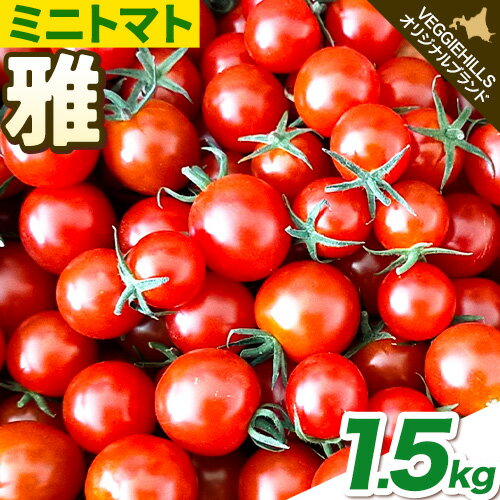 【ふるさと納税】トマト 北海道 当別町産 化学農薬不使用 ミニトマト 雅 1.5kg とまと VEGGIEHILLS《7月下旬-9月下旬頃出荷》 北海道 当別町 野菜 新鮮 べジヒルズ オリジナル ブランド