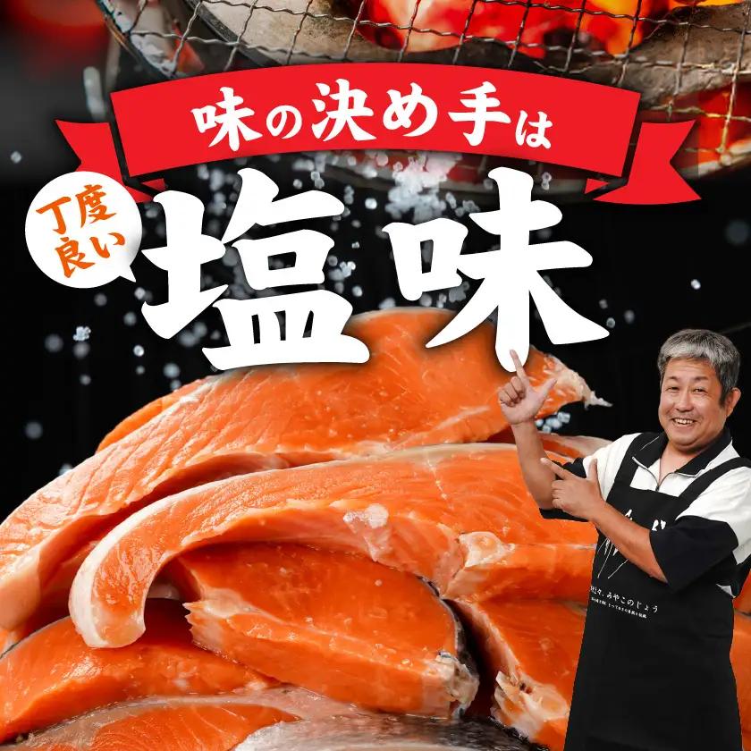 銀鮭2kg(500g×4P)〔17-8408〕_(都城市) トレーパック 1Pあたり4～6切れ カット済 調味加工 切身 鮭 さけ 朝食 お弁当 おかず