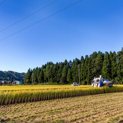 ふるさと納税 十日町市 魚沼産コシヒカリ 雪しずく【農家直送!】 精米10kg×2袋 |  | 01
