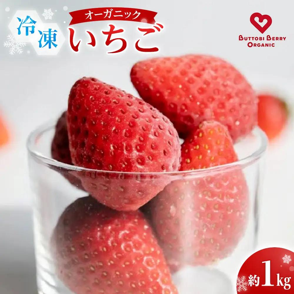 訳あり 冷凍 オーガニックいちご1kg 有機いちご 苺 さちのか