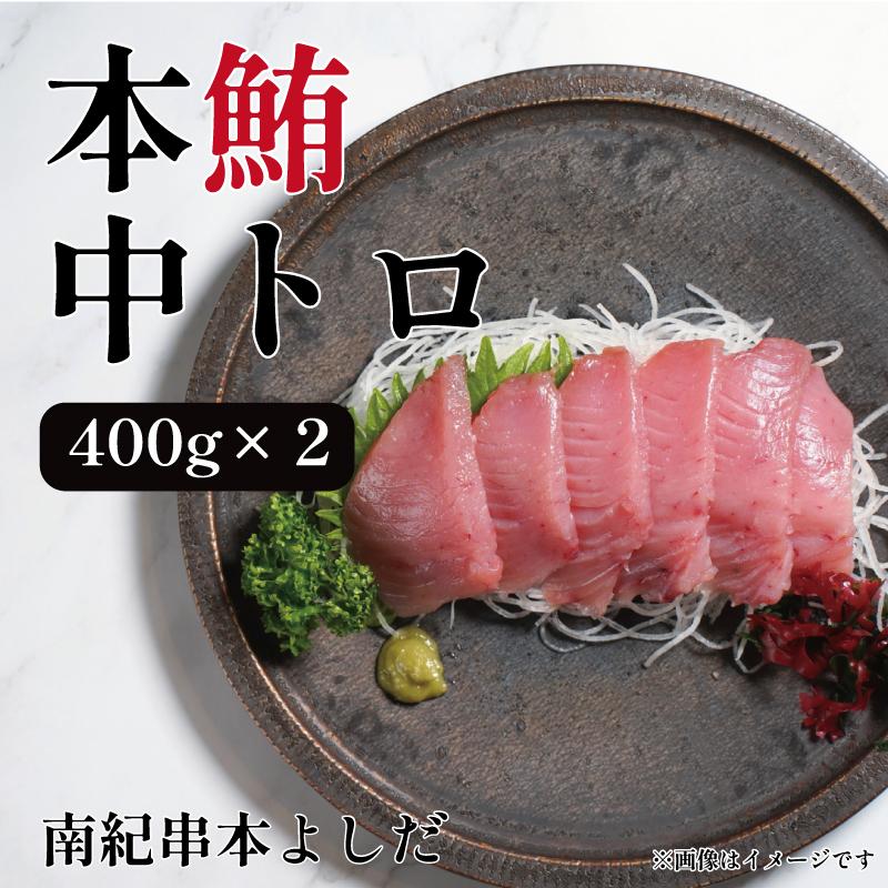 【ふるさと納税】南紀串本よしだ 本鮪 中トロ サク 400g×2 合計 800g | まぐろ マグロ 鮪 魚 お魚 さかな 食品 人気 おすすめ 送料無料 年末年始 お祝い ギフト