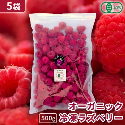 【北海道十勝産 希少品種】冷凍ラズベリー500g×5袋【配送不可地域：離島】【1677057】