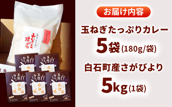 【先行予約 2026年11月～発送】白石町産 さがびより（白米）5kg＆玉ねぎたっぷりカレー 5袋（レトルト）詰め合わせ【AGUMIGroup（農業女子グループ）】お米 [IAT002]