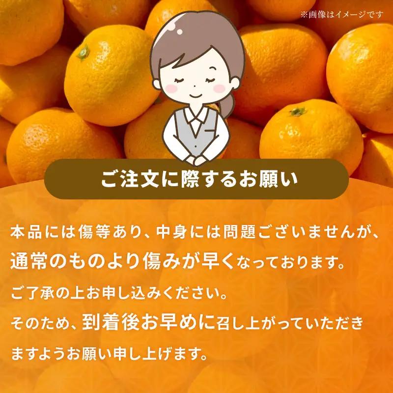 【紅まどんなと同品種】 訳あり 愛果28号 まどんな 5kg マル南フルーツ B015-106027