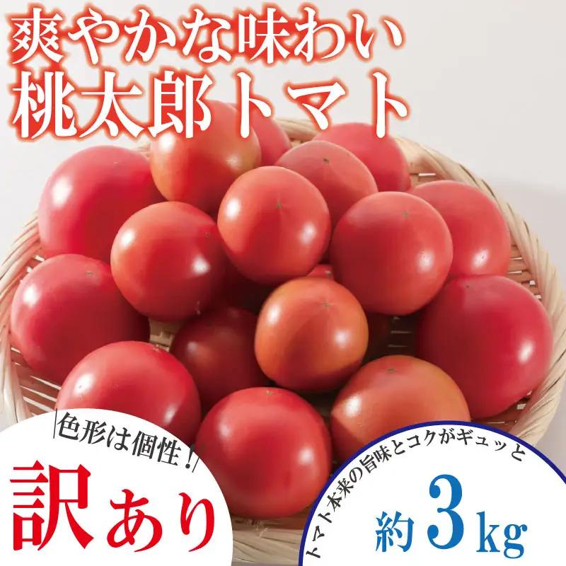【訳あり】 【2027年4月発送】 桃太郎トマト 約3kg 先行予約 トマト