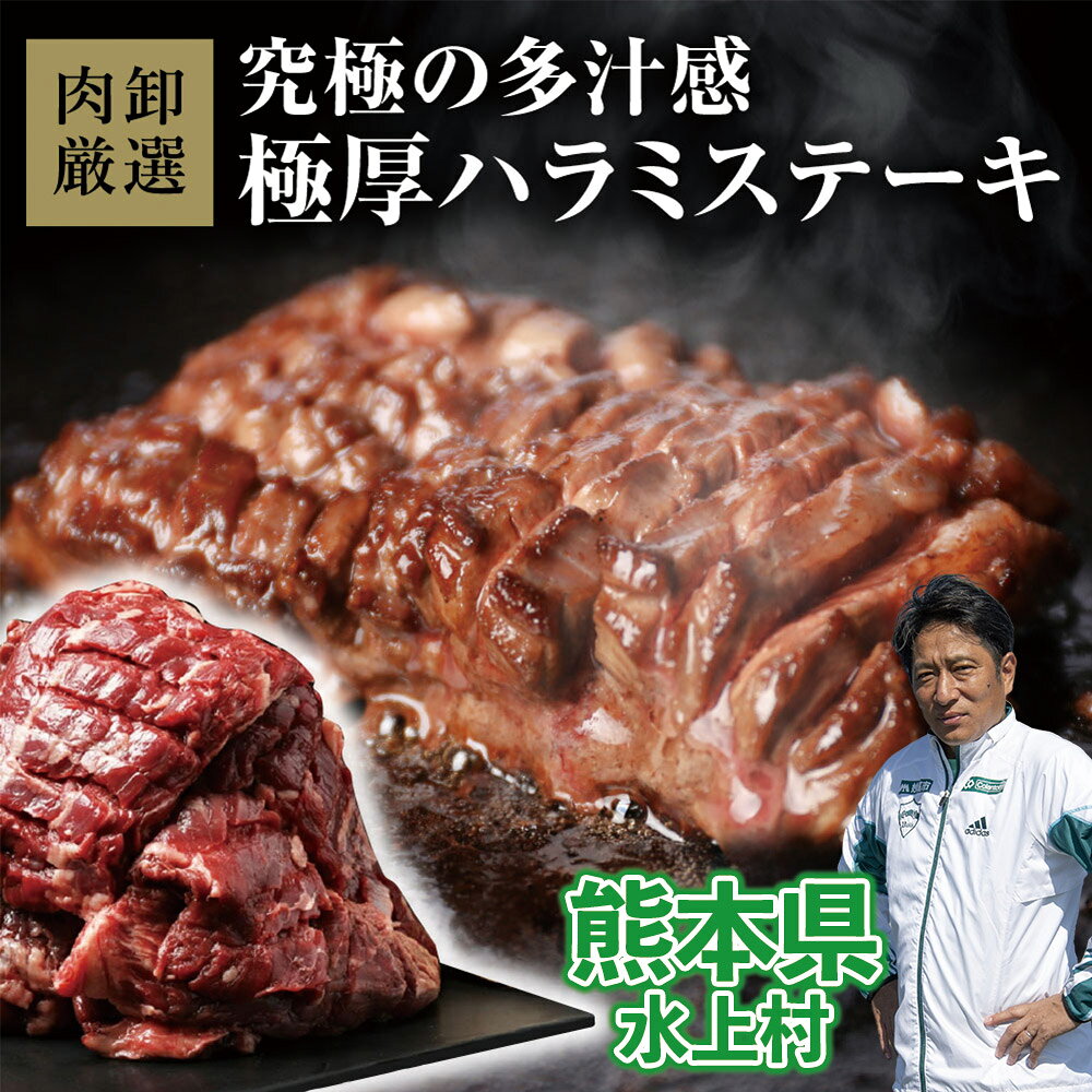 【ふるさと納税】極厚ハラミステーキ 500g～1.5kg 選べる容量 肉 訳あり BBQ セット 大容量 牛肉 ハラミ はらみ 焼肉 バーベキュー キャンプ アウトドア ハラミ肉 ステーキ 厚切り 冷凍 真空 冷凍 パック お取り寄せ 熊本県 水上村
