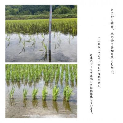 ふるさと納税 沼田市 【 みずのながれ 】令和7年産 群馬県産 沼田のこしひかり 玄米 5キロ コシヒカリ 5kg お米 |  | 03