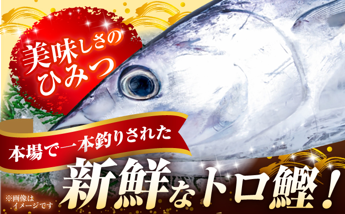 黒潮の赤い宝玉 本場土佐の『鰹の藁やきたたき』1.5節~2節 約700g かつお 鰹 藁焼き カツオ 高知 ワラ 美味しい 【有限会社 蔵多堂】 [ATAE001]
