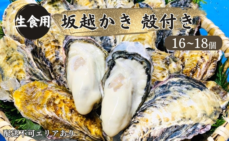 
牡蠣 生食用 坂越かき 殻付き 16～18個[ 生牡蠣 真牡蠣 かき カキ 冬牡蠣 ]
