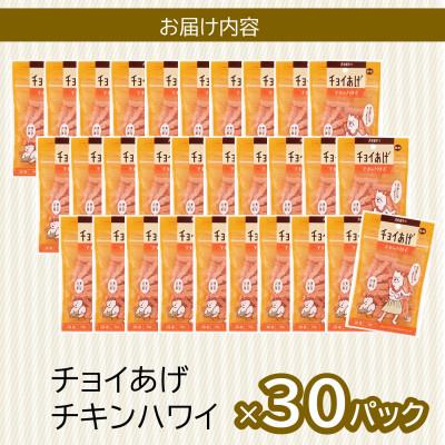 ふるさと納税 海陽町 《30パック》チキンハワイ(50g×30P)チョイあげ犬のおやつ(チャック付き)WNW39 |  | 02