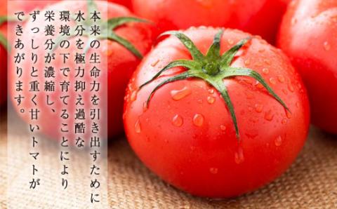 こだわりトマトジュース ～凜花～ 6本セット＜吉川農園＞_Y020-0300