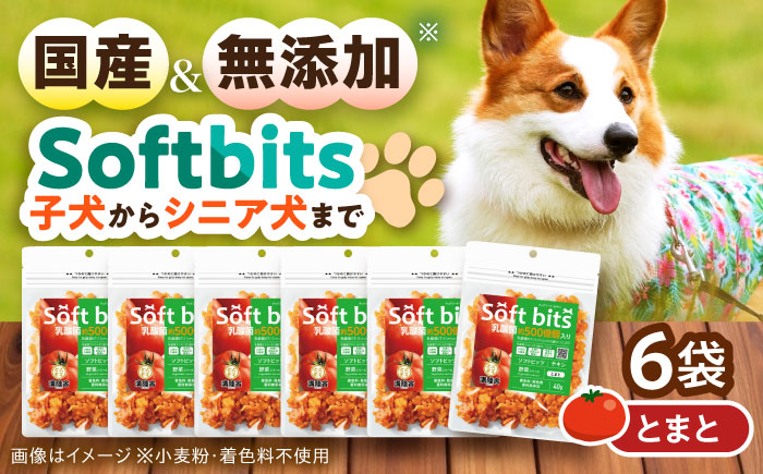 Softbits ドッグフード とまと（40g×6P）/ ドッグフード 犬 いぬ ドッグ おやつ ペットフード / 大村市 / サポート [ACAM017]