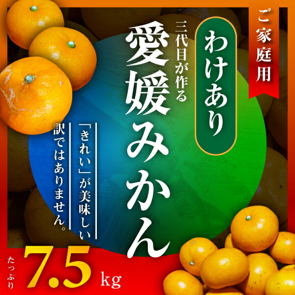 【ふるさと納税】三代目がつくる愛媛みかん 7.5kg【訳あり(家庭用)】【D31-17】_ ミカン 蜜柑 柑橘類 柑橘 フルーツ 果物 くだもの 訳アリ わけあり ご家庭用 人気 美味しい 愛媛県 八幡浜市 ふるさと 【1120067】 YWTAC009