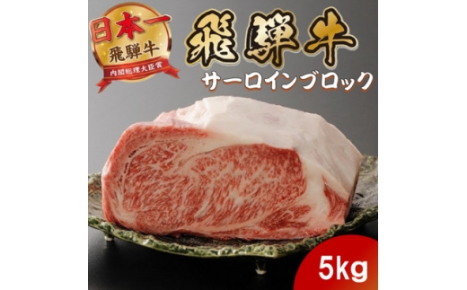 飛騨牛 サーロインブロック5kg (焼肉・ステーキ・すき焼きしゃぶしゃぶ用) 養老ミート【1746390】