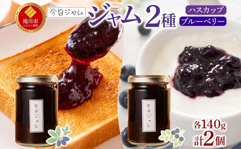 【ふるさと納税】ジャム2種セットA 各1個 ハスカップ ジャム ブルーベリージャム  今日ジャム 北海道産 自家製 パン ヨーグルト 朝食 濃厚 甘い デザート スイーツ おやつ グルメ ご褒美 贅沢 ギフト 送料無料 北海道 滝川市