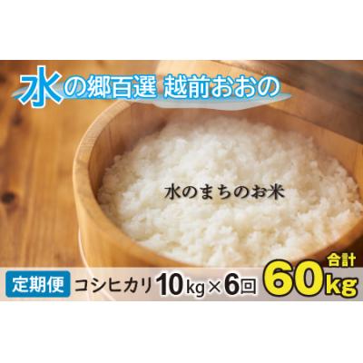 ふるさと納税 大野市 【令和7年産】【6ヶ月定期便】こしひかり 10kg×6回 計60kg【白米】「エコファーマー米」