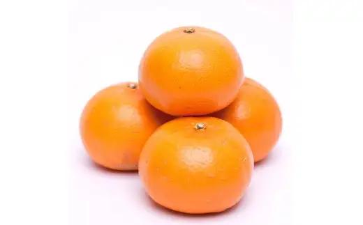 厳選 せとか 1kg+250g（傷み補償分）【柑橘・春みかんの王様】【光センサー選果・食べ頃出荷】/ 果物 くだもの フルーツ 柑橘 オレンジ ※2027年2月中旬～4月中旬ごろに順次発送 ※北海道・