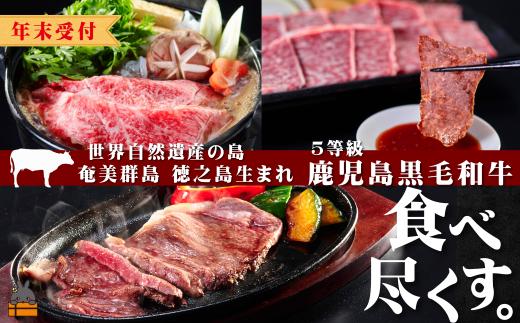 2534 《年末受付》世界自然遺産の島。徳之島生まれ 5等級 鹿児島黒毛和牛 食べ尽くす。 ( サーロインステーキ 肩ローススライス ロース焼肉 食べ比べ 5等級 鹿児島黒毛和牛 牛肉 ビーフ こだわり 贅沢 こだわり 徳之島 奄美 鹿児島 世界自然遺産 大満足 安心 安全 スターゼン )