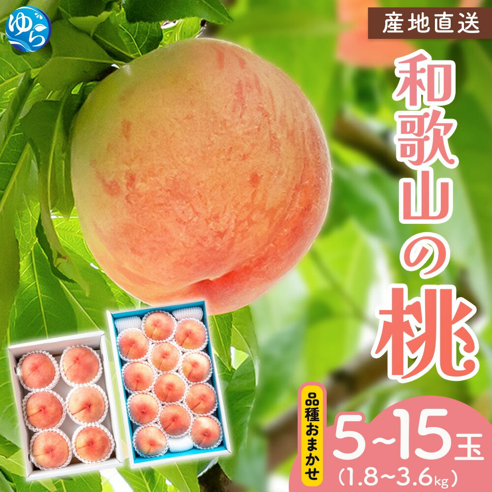 【ふるさと納税】★レビューキャンペーン中★ 和歌山県産の桃【選べる容量】5～8玉 11～15玉 【2025年6月中旬頃から8月上旬頃順次発送予定】 / もも モモ 桃 ギフト 贈り物 プレゼント 夏ギフト 果物 フルーツ 人気 産地直送 和歌山県 お取り寄せ