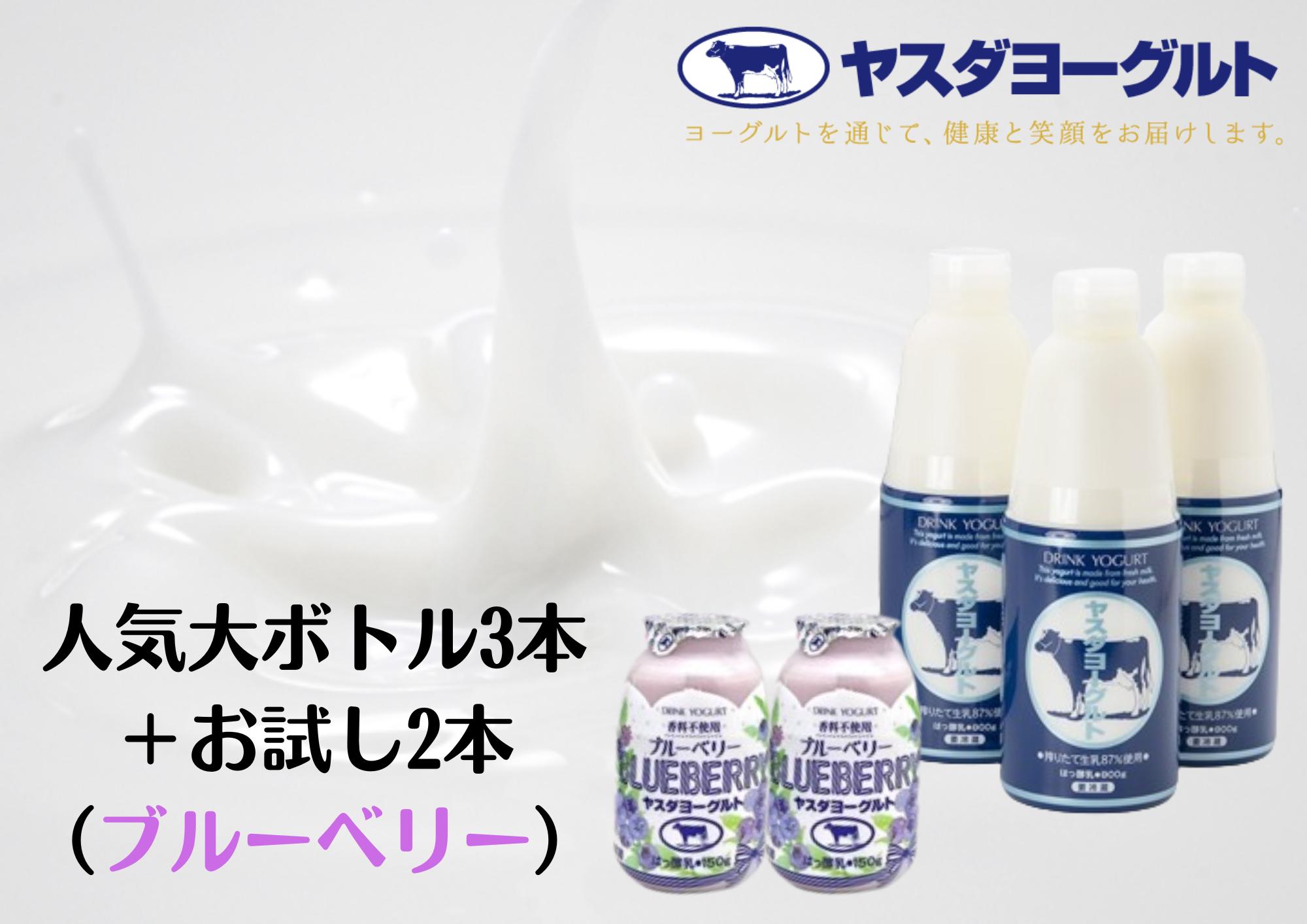 ヤスダヨーグルト 特別お試しセット 人気大ボトル3本 + 小ボトルブルーベリー2本セット 1B73007