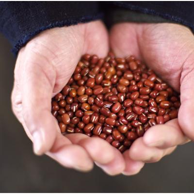 ふるさと納税 小田原市 和菓子菜の花　月のうさぎセット |  | 03
