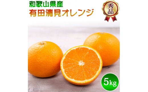 
                  【2027年先行予約】有田 清見 オレンジ 秀品 S～2Lサイズ 大きさお任せ 約5kg_DZ6031n
                